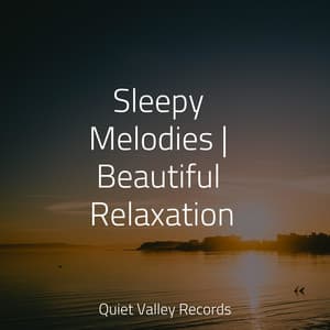 Sleepy Melodies | Beautiful Relaxation - Schlaflieder Für Kinder