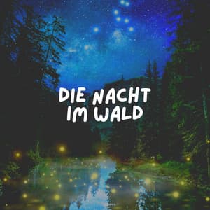 Die Nacht Im Wald - Naturgeräusche
