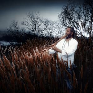 Journey to Peace Within - Adrian Freedman