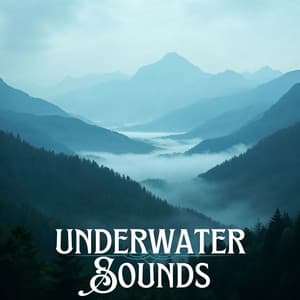 528 Hz - Ultimate Stress Relief & Meditation Music for Mind, Body, and Soul Detox - Natura Ferox