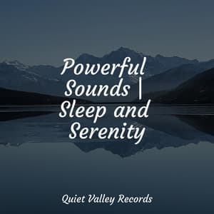Powerful Sounds | Sleep and Serenity - White Noise Relaxation