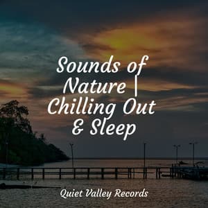 Sounds of Nature | Chilling Out & Sleep - Meditation Rain Sounds
