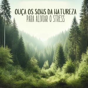 Ouça Os Sons da Natureza para Aliviar o Stress - Hipnose Natureza Sons Coleção