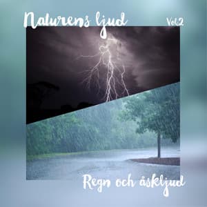 Naturens ljud, Vol. 2: Regn och åskljud - Regnljud