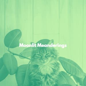 Moonlit Meanderings - Cat Music Relaxation