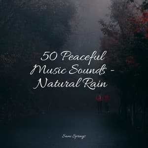 50 Peaceful Music Sounds - Natural Rain - Sounds of Nature White Noise for Mindfulness Meditation and Relaxation