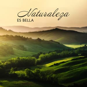 Naturaleza es Bella: Sonidos de la Naturaleza para la Meditación Consciente, Tratamientos Curativos de Spa y Yoga para una Relajación Completa - Meditación Música Ambiente