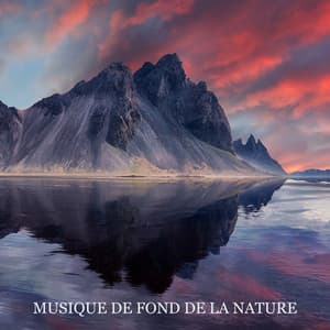 Musique de fond de la nature. Sons ambiants. Chansons relaxantes pour que les enfants dorment vite et apaisent - Nature Académie