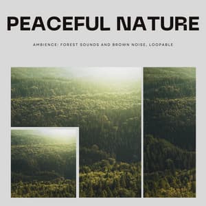 Peaceful Nature Ambience: Forest Sounds and Brown Noise, Loopable - Echoes Of Nature