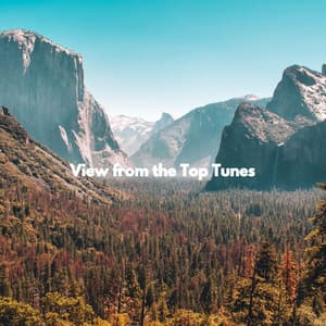 View from the Top Tunes - Música para Cafeterías