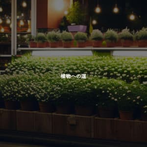 植物への道 - Montreal Jazz Duo