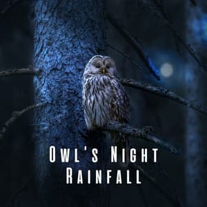 Owl's Night Rainfall: Rainy Relaxation with Windy Tunes - Rainspell