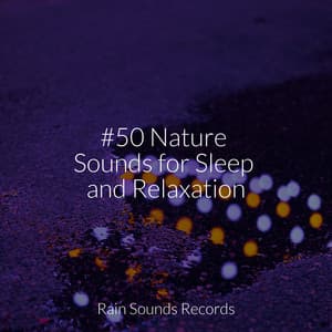 #50 Nature Sounds for Sleep and Relaxation - Calm Music for Studying