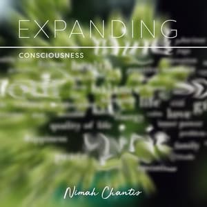 Expanding Consciousness: Divine Chanting, Overcome Adversity Meditation - Nimah Chantis