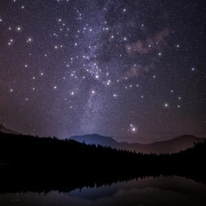 Sounds of Nature | Calm Music | Meditation Focus - Relaxed Minds