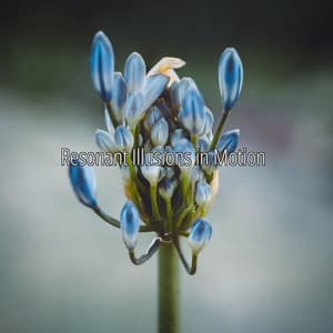 Resonant Illusions in Motion - Cosmic Thought