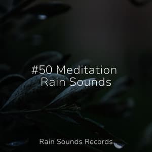 #50 Meditation Rain Sounds - Yoga Music