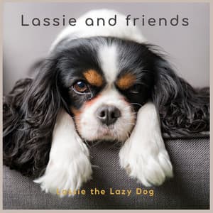 Lassie the Lazy Dog - Lassie and friends