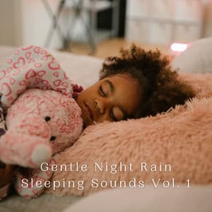 Gentle Night Rain Sleeping Sounds Vol. 1 - Sleep Please