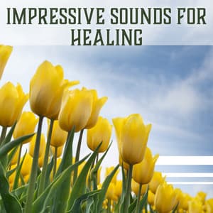Impressive Sounds for Healing: Deep & Pure Relaxation Yoga Therapy, Mindfulness Exercises, Self Awareness and Inner Peace - Sanctuary of Silence