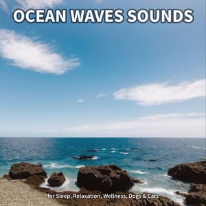 #1 Ocean Waves Sounds for Sleep, Relaxation, Wellness, Dogs & Cats - Ocean Waves