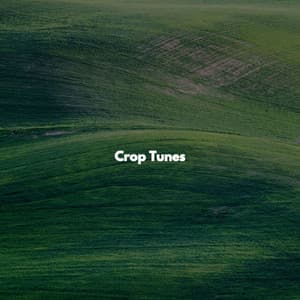Crop Tunes - Chilled Easy Listening Jazz