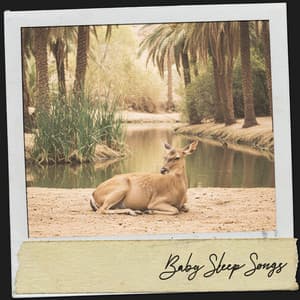 Baby Sleep Songs: Oasis Retreat - Cat Music Therapy