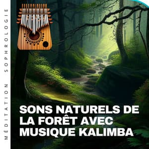 Sons naturels de la forêt avec musique kalimba - Méditation Sophrologie
