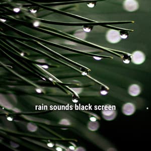 * rain sounds black screen * - Lightning, Thunder and Rain Storm