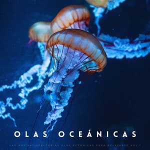 Las Más Satisfactorias Olas Oceánicas Para Relajarse Vol.1 - Sonidos del océano Efectos especiales