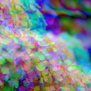 Retro Bossa Nova Piano Duo - Bgm for Chill Out Reflections - Jazz Lounge Cafe