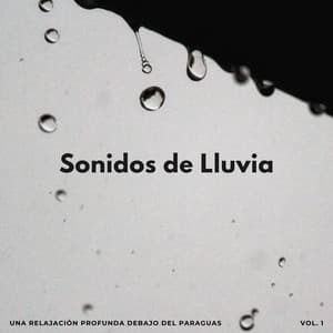 Sonidos De Lluvia: Una Relajación Profunda Debajo Del Paraguas - Maravilla de lluvia