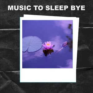 Music To Sleep Bye - Music To Sleep Bye