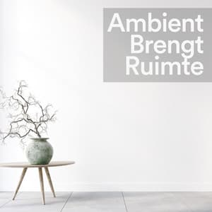 Ambient Brengt Ruimte - Ontspannende Muziek