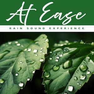 At Ease - Rain Sound Experience