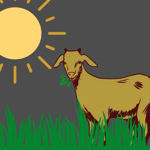 Music for Acoustic Messages - New York Jazz Trio