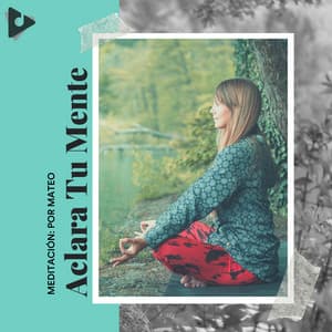 Aclara Tu Mente - Música Para Meditar y Relajarse