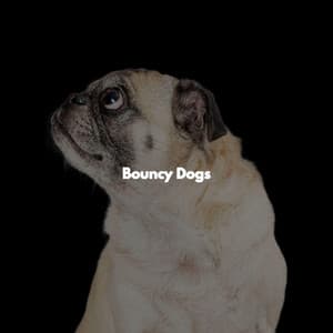 Bouncy Dogs - Music for Cooking