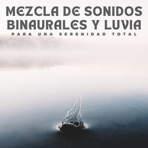 Mezcla De Sonidos Binaurales Y Luvia Para Una Serenidad Total - Bob binaural