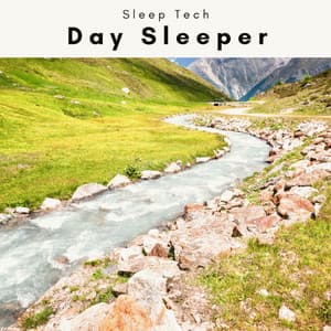 A Day Sleeper - Sleep Tech