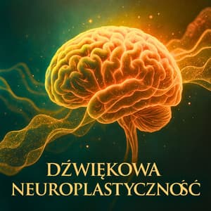 Dźwiękowa Neuroplastyczność - Sylwia Solfeżowa