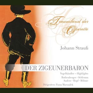 Der Zigeunerbaron - Johann Strauss II