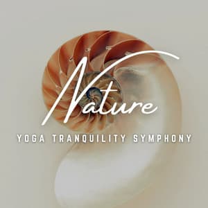 Yoga Tranquility Symphony: Peaceful Practices - Yoga Music Station