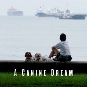 A Canine Dream: Ambient Music for Dogs - Ambient Music Bliss