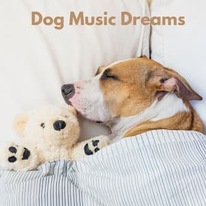 Dog Music Dreams - Home Alone Dog Music