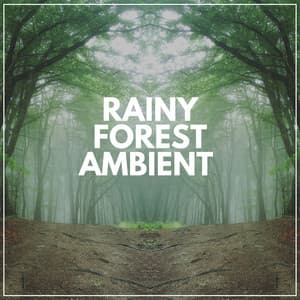 Rainy Forest Ambient - Organic Sound