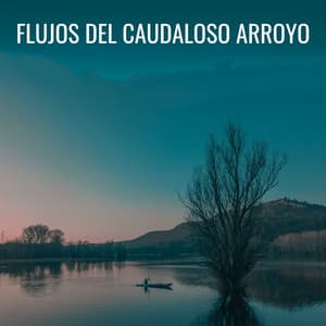 Flujos Del Caudaloso Arroyo - Ruido de agua