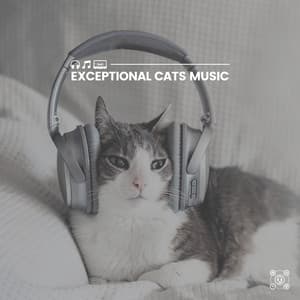 Exceptional Cats Music - Cats Music Zone
