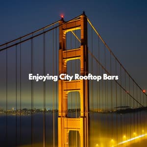 Enjoying City Rooftop Bars - Musik zum Lesen
