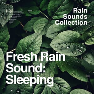 Fresh Rain Sound: Sleeping - Rain Sounds Collection